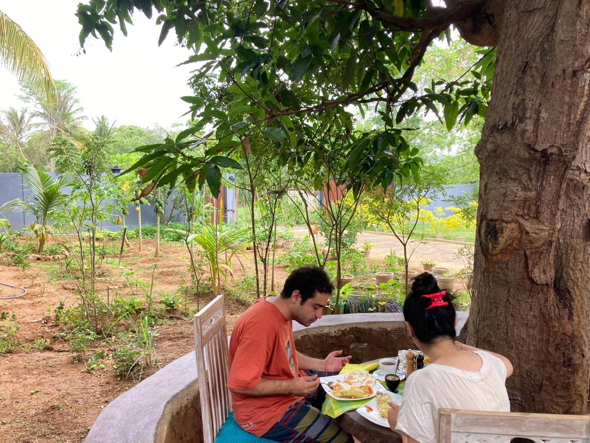 Amba Kola Udawalawa Hotel Udawalawe Ngoại thất bức ảnh